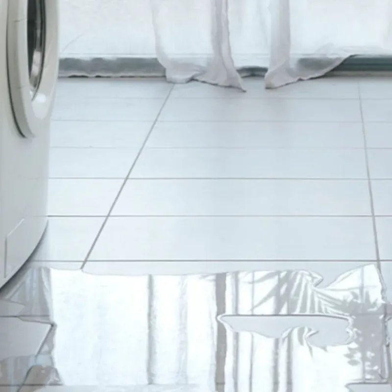 Appliance Leak Cleanup in West Linn, OR