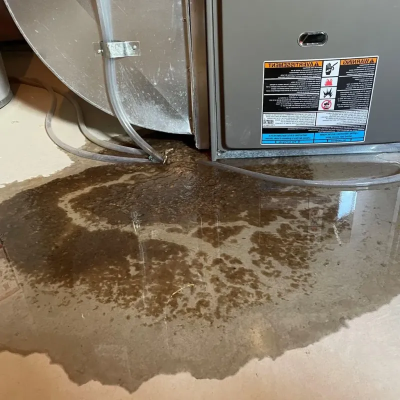 Pipe Burst and Leak Restoration in West Linn, OR